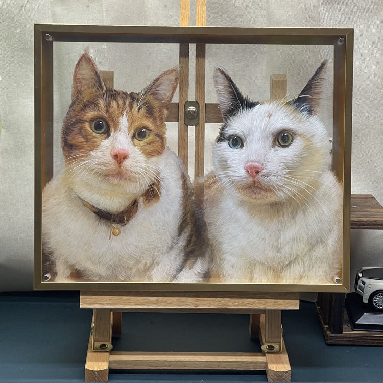 Custom 3D Painting of Two Pets