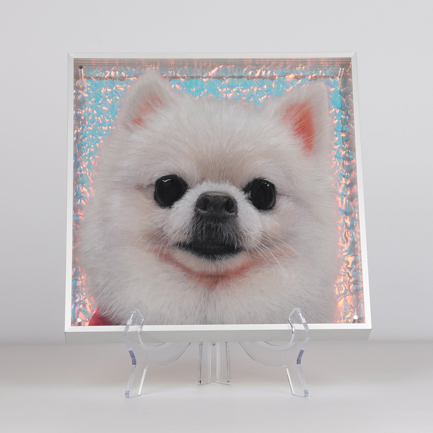 Custom 3D Acrylic Pet Painting | Handmade Layered Pet Art